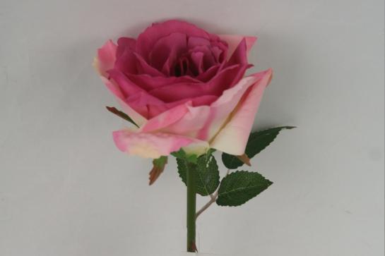rose 13cm dia with 25cm stem