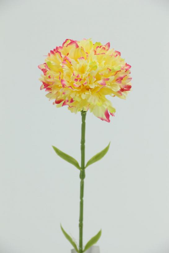 single Carnation  dia 10cm 
