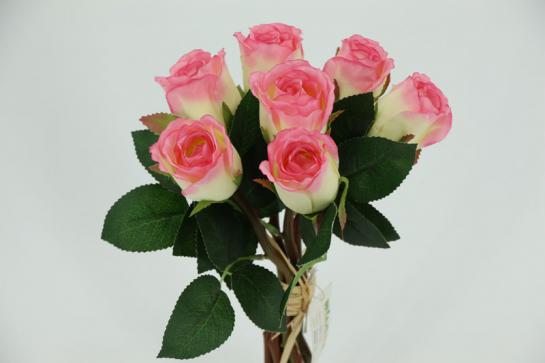 rose bush X 7 with 23cm stem 