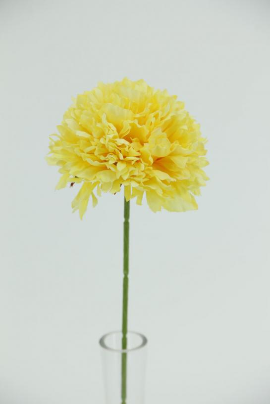 Carnation  dia 10cm with stem 30cm