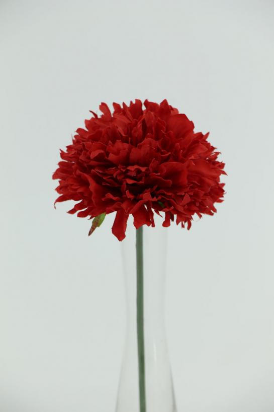 Carnation  dia 10cm with stem 18cm