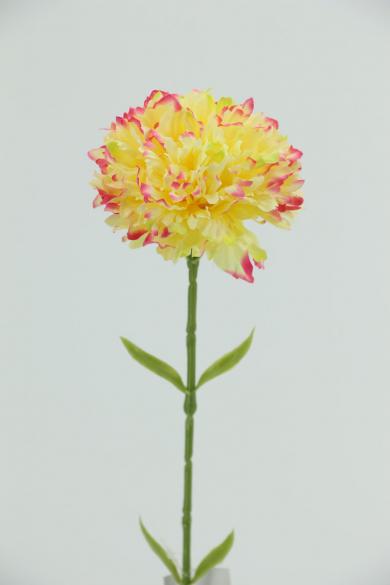single Carnation  dia 10cm 