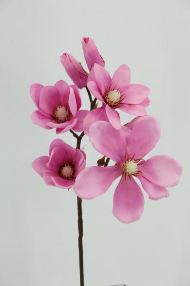 magnolia branch 45cm (2big+2medium+4buds)