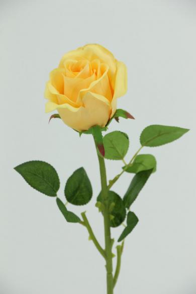 rose 44cm stem