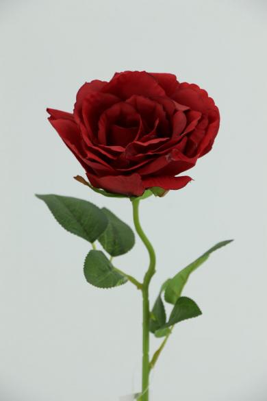 rose 13cm dia with 45cm stem