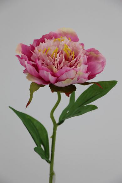 rose 10cm with stem 45.5cm