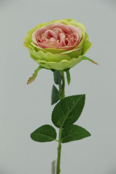 rose dia 10.5cm with 45cm stem