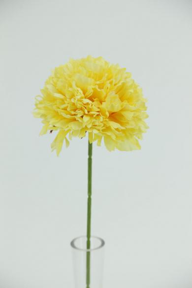 Carnation  dia 10cm with stem 30cm