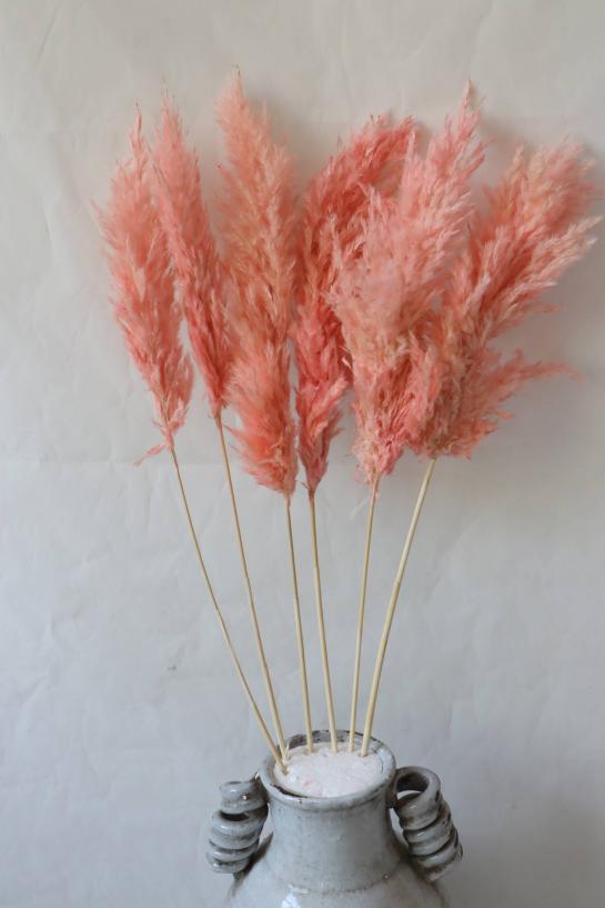 natural pampas flowers small size 90-100cm(head:30-40cm) 3pcs/bag in pink color