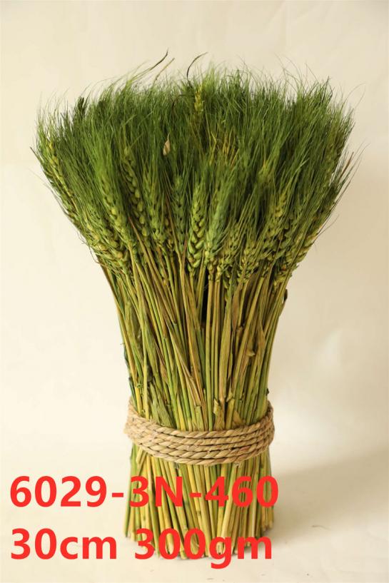 standing wheat 300g/bun 30cm