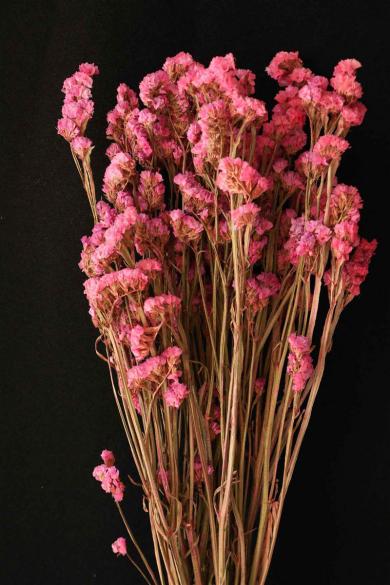 preserved flower 50gm